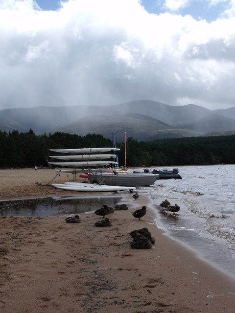 Ducks and windsurf boards, Loch Morlich