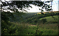 Evening view of the Seaton Valley