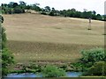 Bromley Farm windpump