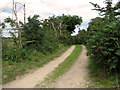 Farm track skirting Leiston Common