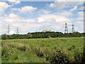 Ditch in marsh pasture by Rookyard Wood, Sizewell