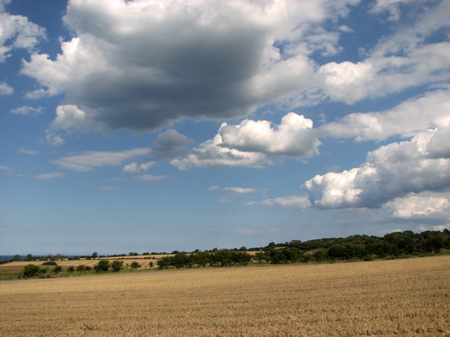 Big sky over harvested fields, Cley