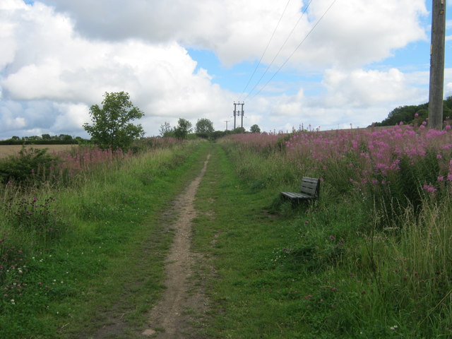 Footpath on line of former mineral railway