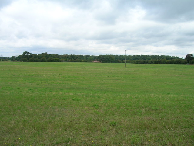Farmland off Hurst Lane