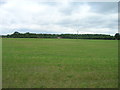 Farmland off Hurst Lane