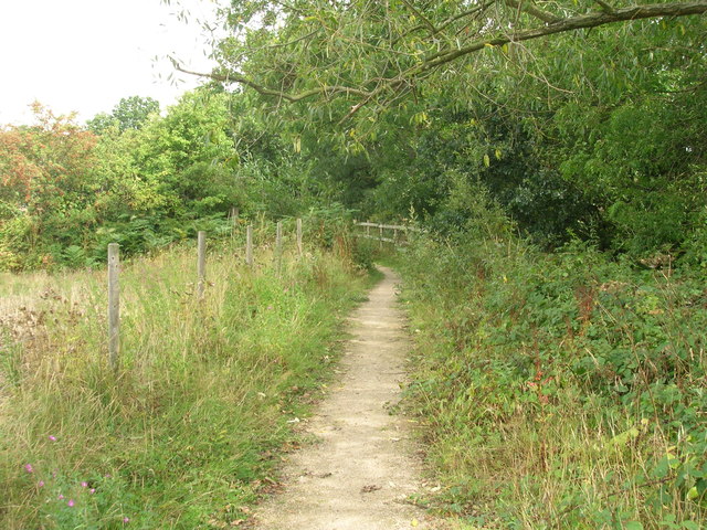 Footpath beside woodland