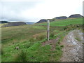 Waymarker beside the path above the Afan Valley