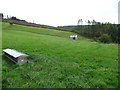 Hut in the field above Tycanol