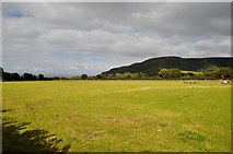 SS8847 : West Somerset : Grassy Field by Lewis Clarke