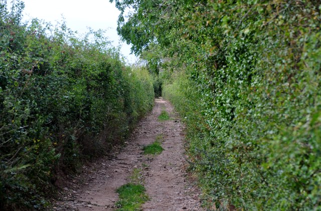 West Somerset : Farm Track