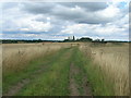 Farm track towards Tickhill Grange