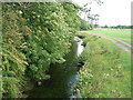 River Ryton at Serlby