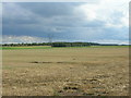 SK6386 : Farmland off the A634 by JThomas