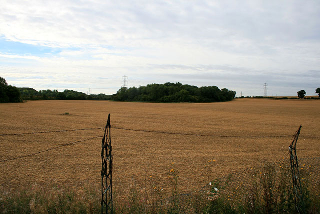 Harvested field near Hipsey Spinney