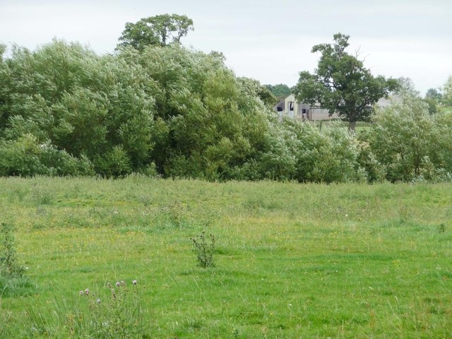 Footpath across field