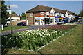 TQ2062 : Flowerbed by a row of shops on Chessington Road by Bill Boaden