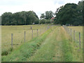 Bridleway near Calverton