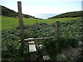 Stile near Sunnyhill above Morfa Bychan