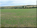 SK6149 : Landscape near Calverton by Alan Murray-Rust