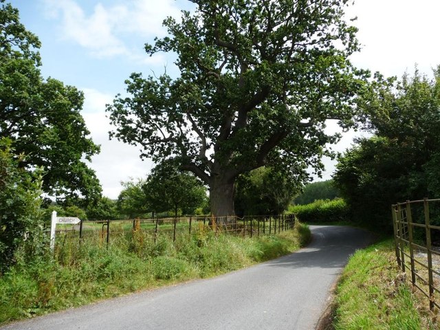 Bitterley Lane