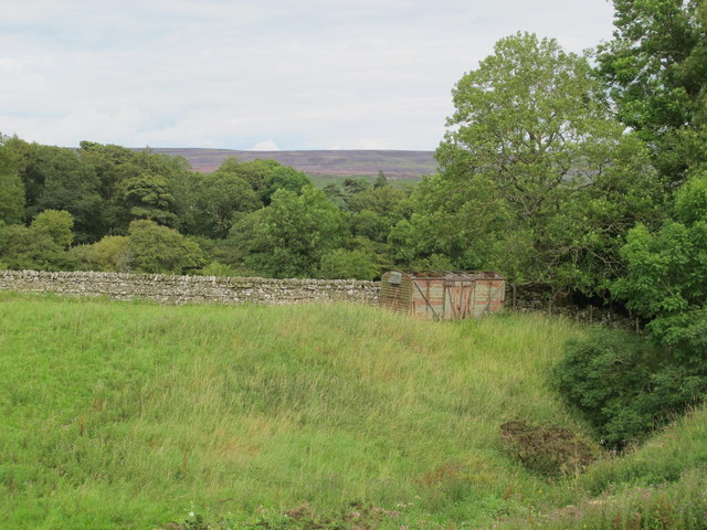 The valley of Allerton Burn near Greenhead Farm