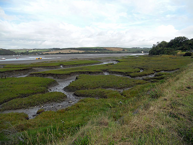 Salt marsh on the estuary