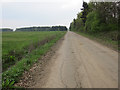 Old airfield track