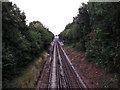 TQ4772 : Railway towards Albany Park by David Anstiss