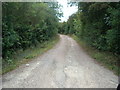 Unmade lane of Station Road, Offenham