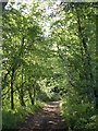 Limestone Link near Hill Farm