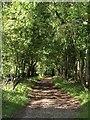 Bridleway to Upper Langford