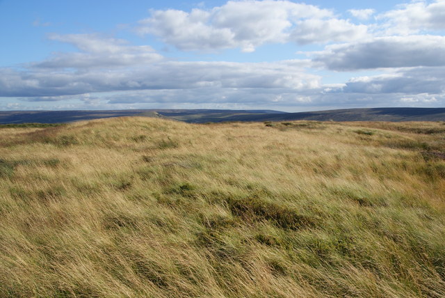 Cupwith Hill © Bill Boaden :: Geograph Britain and Ireland