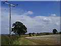 Holdenby Bridleway