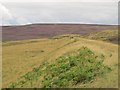 NY9943 : Embankment on the former Weardale & Rookhope Railway by Mike Quinn