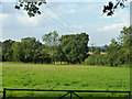 Field north of Norman Street