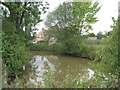 Pond near Green Farm 