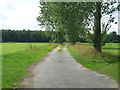 Track towards Common Wood