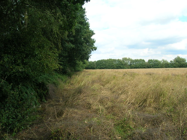 Farmland beside Glebe Plantation