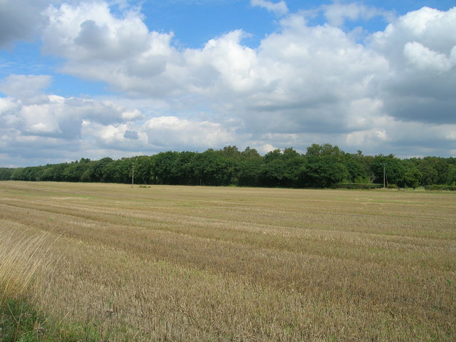 Farmland near Link Hall