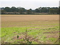 Farmland near Rush Farm