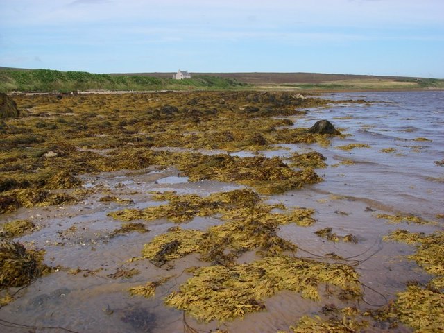 Intertidal zone at North Bay