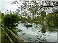 Walk along the Thames from Runnymede to Old Windsor (68)