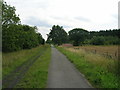 Trans Pennine Trail towards Selby