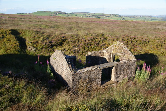 Abandoned hut on Reaps Hill