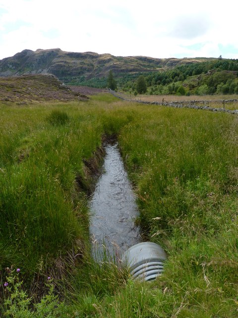 Drainage ditch