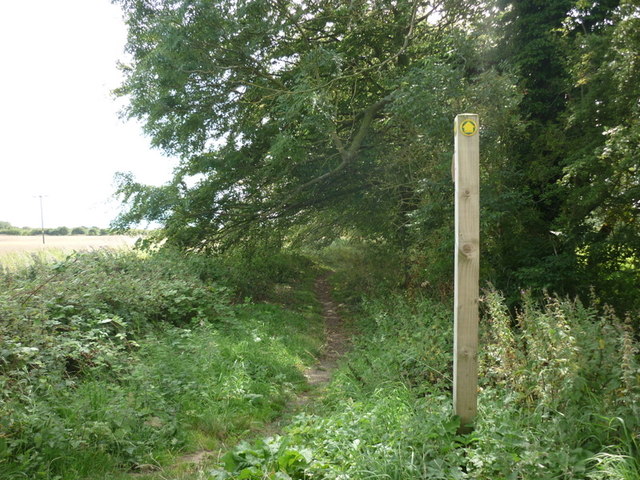A footpath alongside Nafferton Beck towards Wansbeck