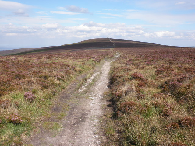 Path across Goosemoor Common