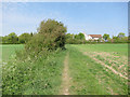 Footpath to West Wickham