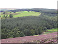 The valley of Stanhope Burn below High House