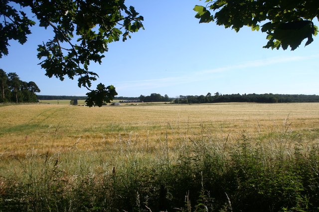 Fields by Tornagrain